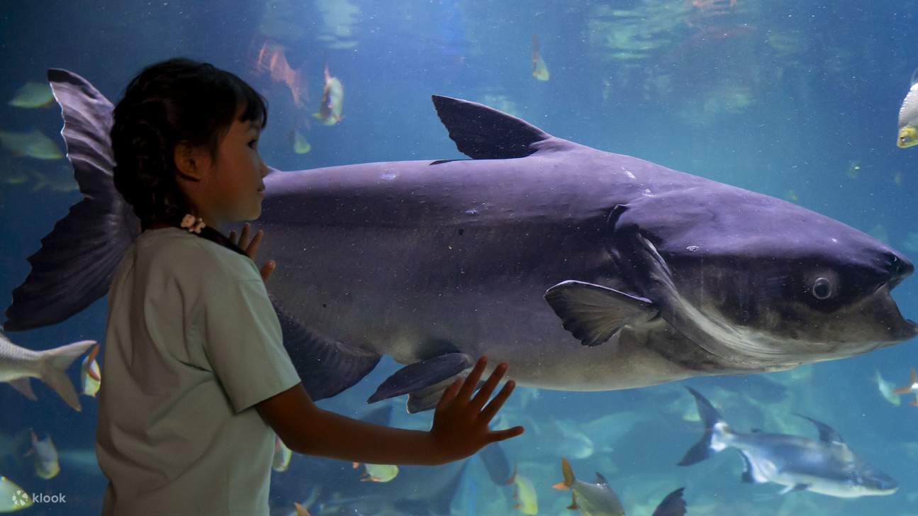 Vé Vào Cửa Cả Ngày | Angkor Wildlife & Aquarium